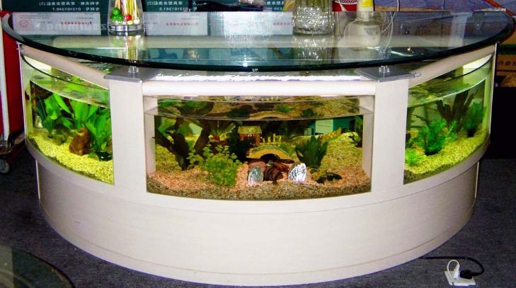 Best Aquarium