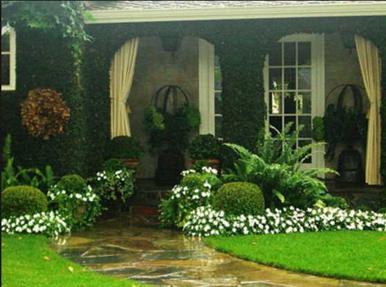 Garden Design Ideas