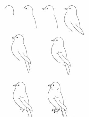 Best easy drawing tutorial