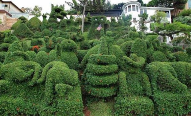 Topiary Garden Ideas