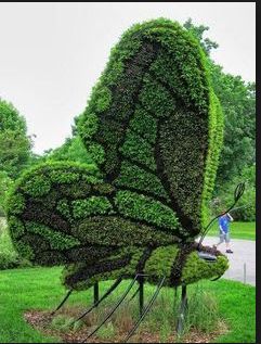 Topiary Garden Ideas